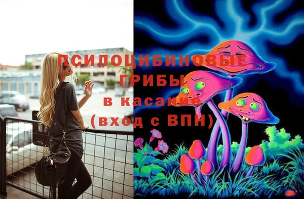 тгк Горняк