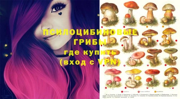 apvp Горно-Алтайск