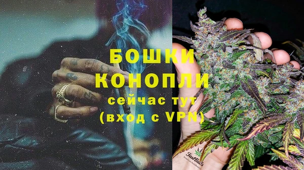 тгк Горняк