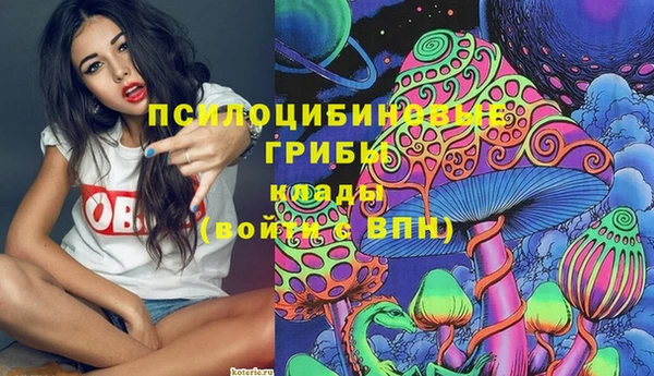 apvp Горно-Алтайск
