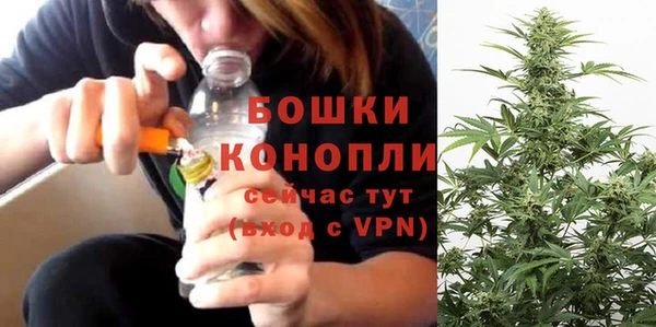 дживик Горнозаводск