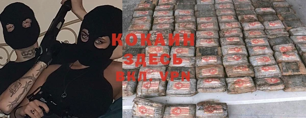 дживик Горнозаводск