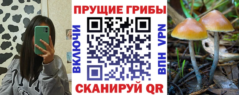 Купить  Нурлат  Псилоцибиновые грибы мухоморы 